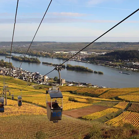 Da Toni Chiara Rüdesheim nad Renem